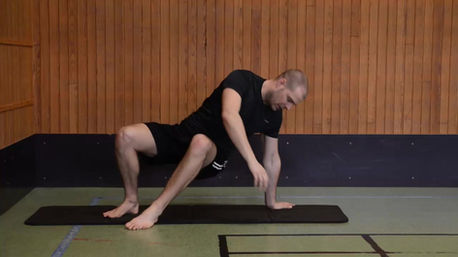 Chins steg 8 - Twisted bear